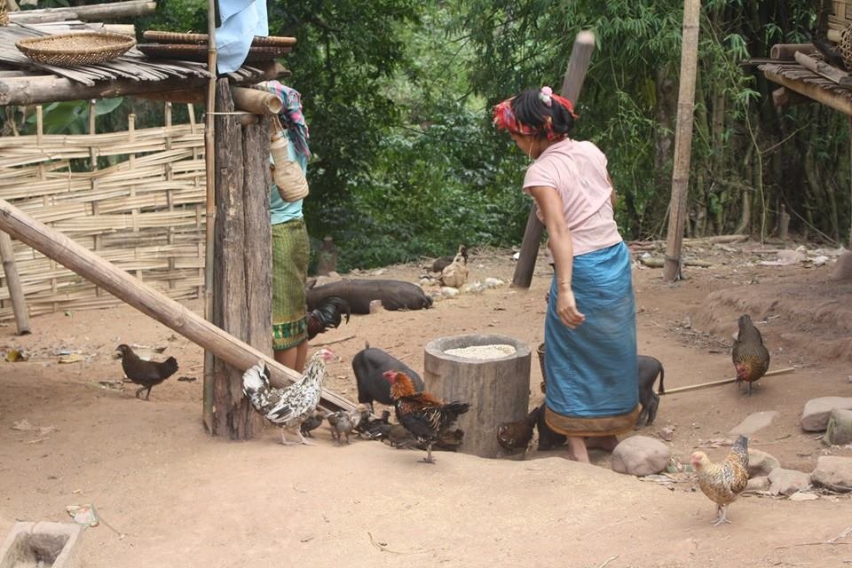 2 Days Luang Namtha Trek In Nam Ha - Riverside Camp & Khmu Tribe